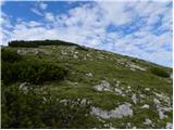 Planina Ravne - Kocbekov dom na Korošici